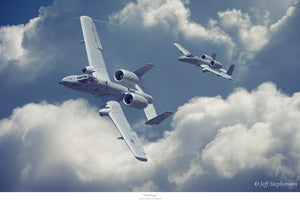 "Warthogs" A-10 Thunderbolt II