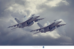 "The Ragin' Bulls - VFA-37"