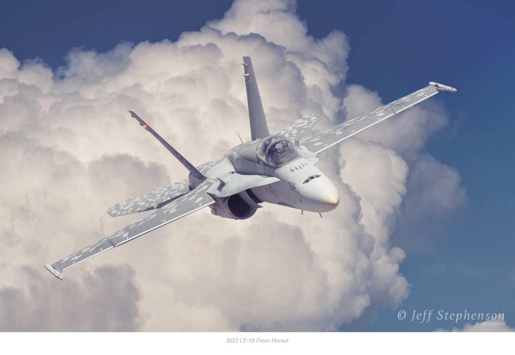 2022 CF-18 Demo Hornet