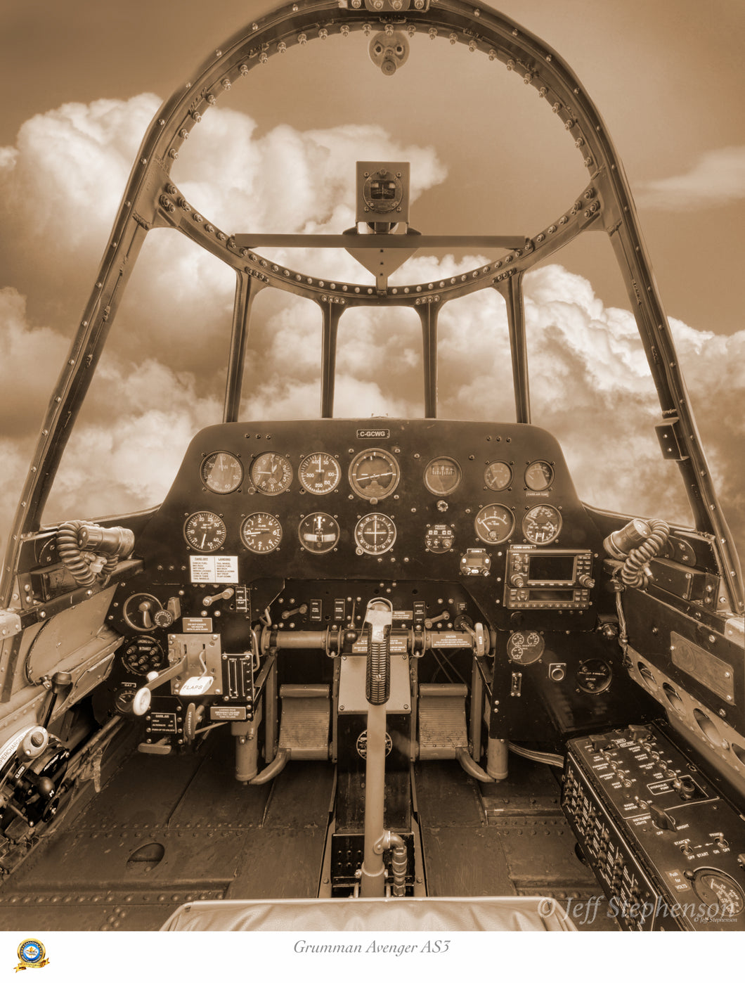 Grumman Avenger AS 3 - Cockpit Series