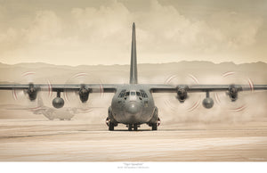 "Tiger Squadron"