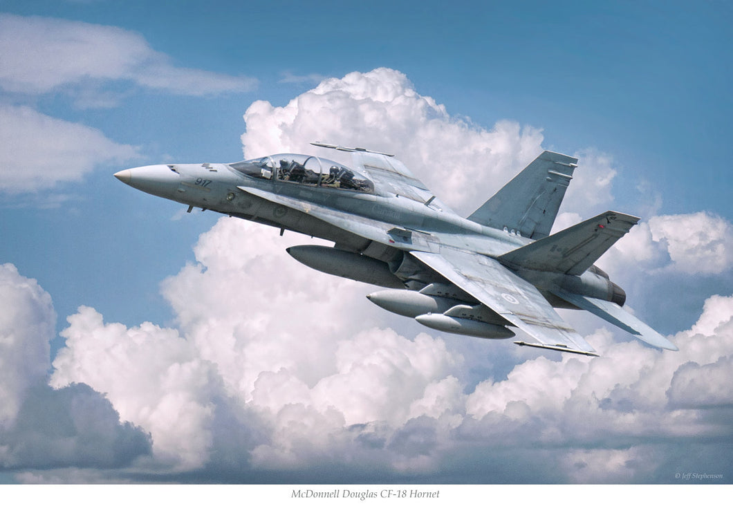 McDonnell Douglas CF-18 Hornet - twin seat