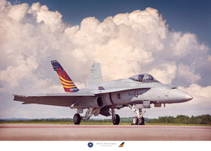2019 CF-18 Demonstration Hornet