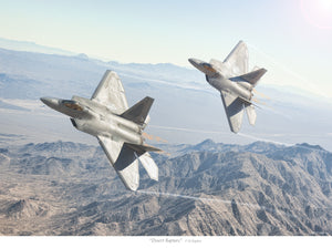 "Desert Raptors"