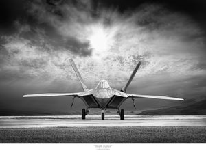 "Stealth Fighter"