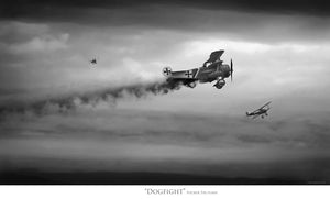 "Dogfight"