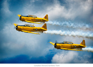 Harvard Aerobatic Team