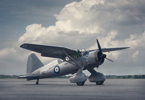 "Lysander"