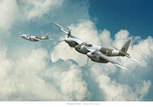 "Mosquito Patrol"