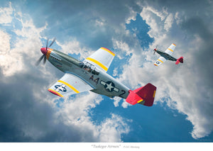 "The Tuskegee Airmen"
