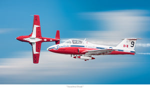 "Snowbird Break"