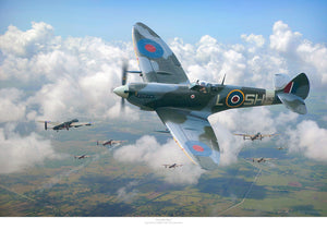 "Friendly Skies"