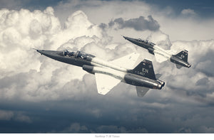 Northrop T-38 Talons